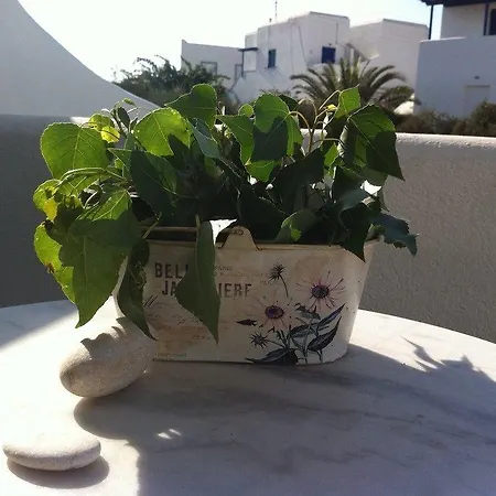 Ξενοδοχείο με διαμερίσματα Casa Del Sol Πάρος